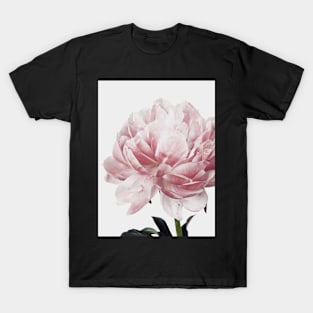 Flowers print, Scandinavian, Peony, Fashion print, Scandinavian art, Modern art, Wall art, Print, Minimalistic, Modern T-Shirt